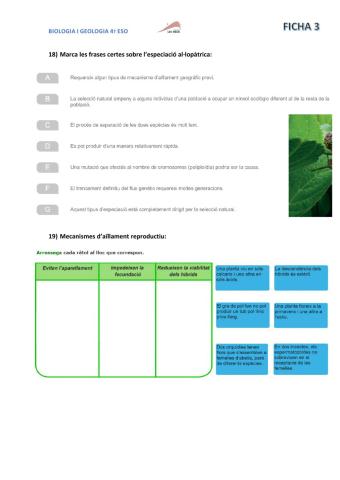Evolución: ficha 2 parte II