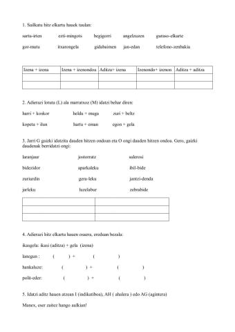 Aditzak eta hitz elkartuak