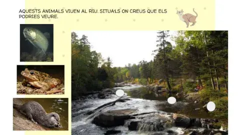 El riu i els seus habitants