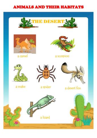 Animals and habitats