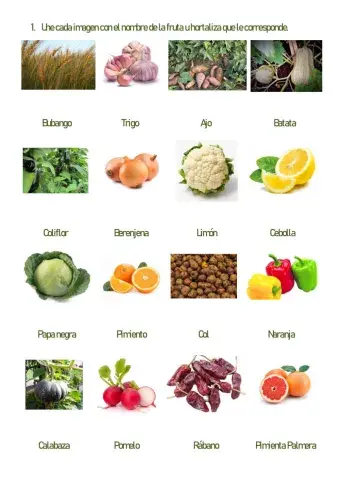 F1 Frutas y Hortalizas