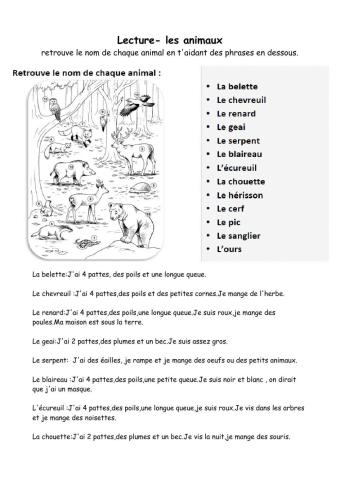 Les animaux de la foret