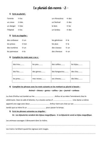 Le pluriel des noms 2
