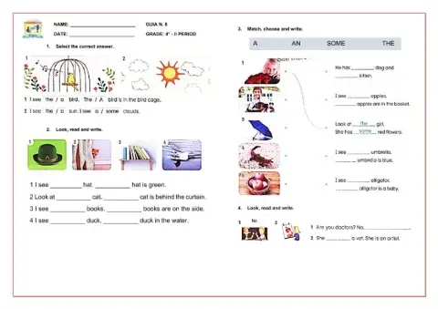 A, an, the, noun Exercise
