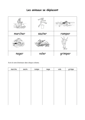 Les animaux se deplacent