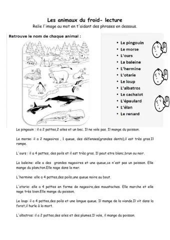 Les animaux du froid