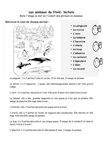 Les animaux du froid