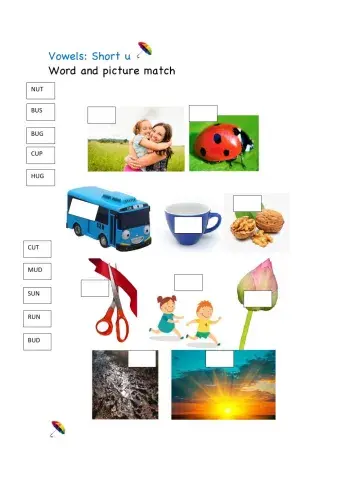 CVC words, short vowels:u