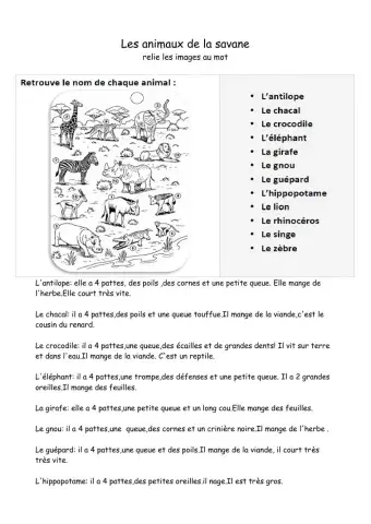 Les animaux de la savane