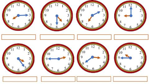 Posiziona correttamente gli orari