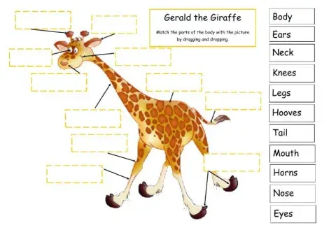 Gerald the Giraffe