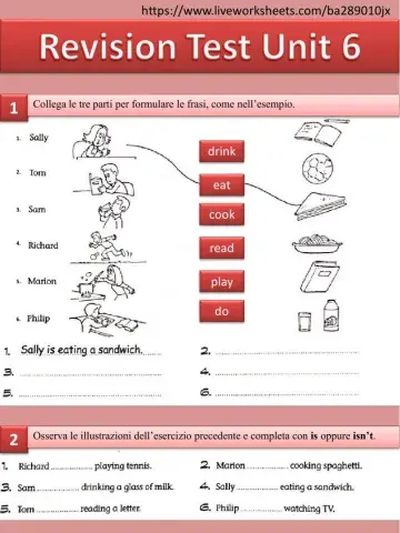 Revision Test Unit 6