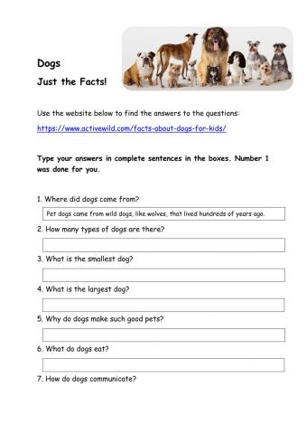 Dogs! Just the Facts