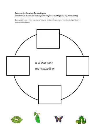 Ο κύκλος ζωής της πεταλούδας