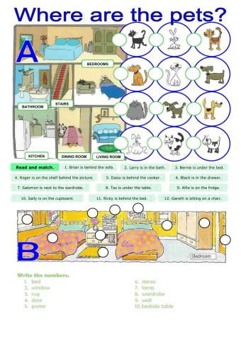 Where are the pets? Prepositions of places