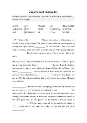 Japan's Most Famous Dog