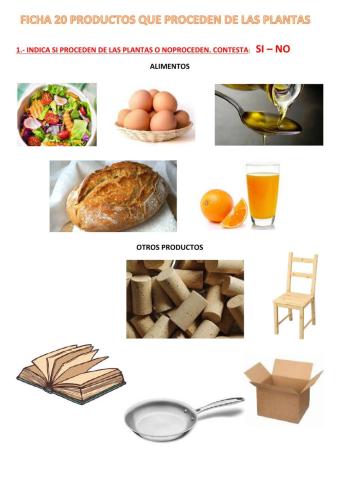 Qué obtenemos de las plantas