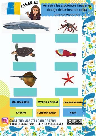 Animales de costa de Canarias