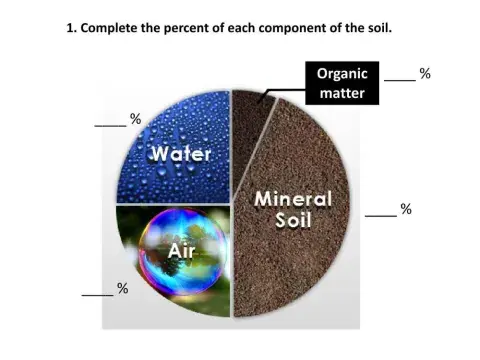 Soil components