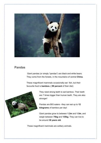 Pandas: reading comprehension