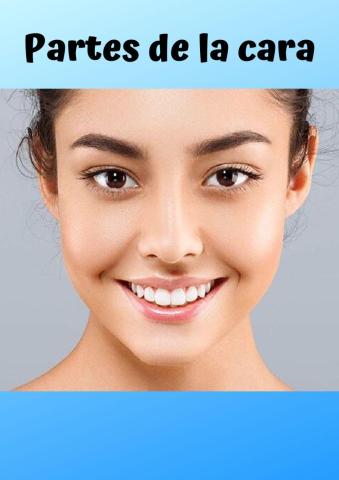 Partes de la cara