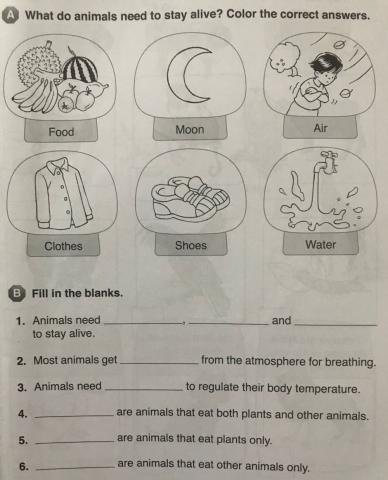 Science Chapter 1 Week 1 Needs of animals and humans