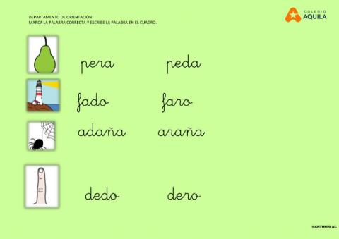 Marca la palabra correcta y escribe en el cuadro