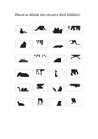 Állatok összeillesztése