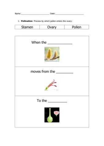 Pollination