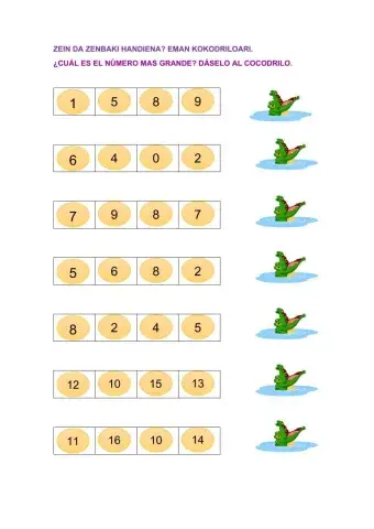 Zein da zenbaki handiena?