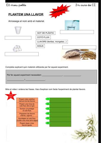 repas medi: plantem una llavor