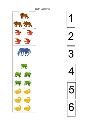 Brown bear count