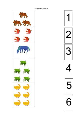 Brown bear count