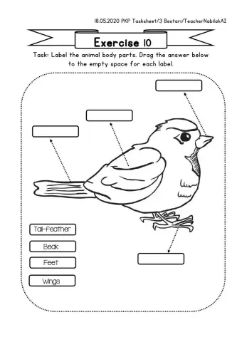 3 Bestari Exercise 10