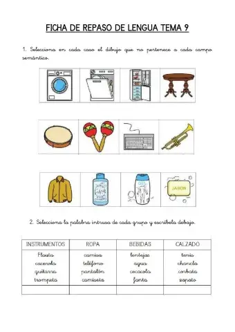 Ficha repaso lengua tema 9