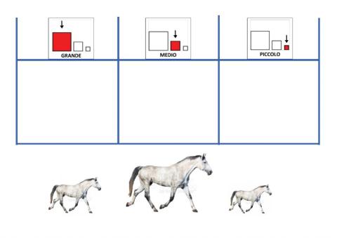 Gli animali della fattoria