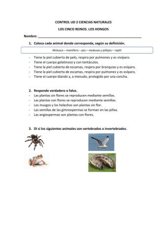 Control ud 2 naturales: los cinco reinos. los hongos