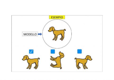 Attenzione visiva Animali della fattoria
