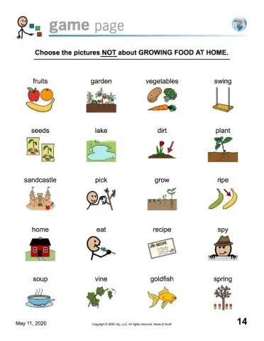 News To You Growing Food At Home Level 3 and 4