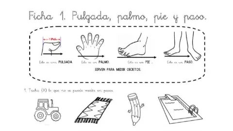 Palmo, pie, pulgar, paso