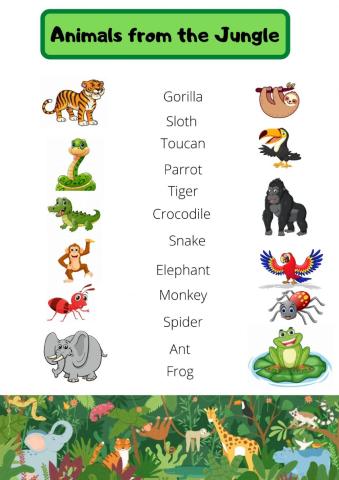 Animals from the Jungle