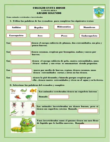 Animales vertebrados e invertebrados