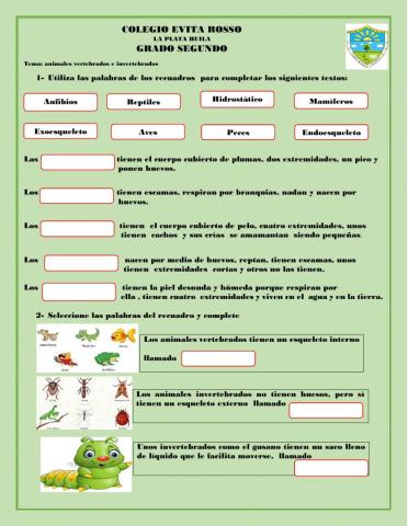 Animales vertebrados e invertebrados