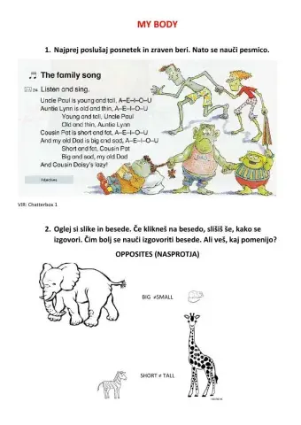 My body - adjectives