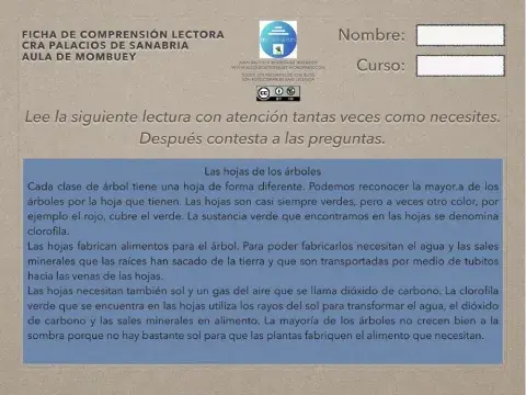 Ficha de comprensión lectora 12-5 6º EP