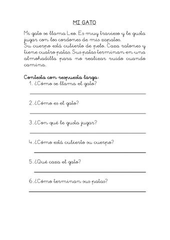 Comprensión el gato