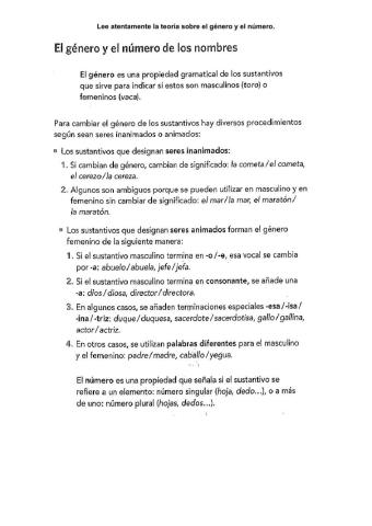 Género y número