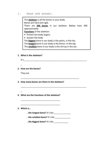 Complete about the bones