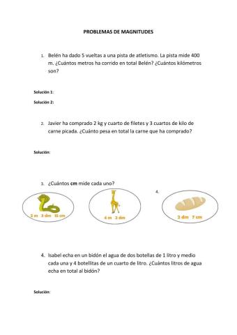 Problemas de magnitudes