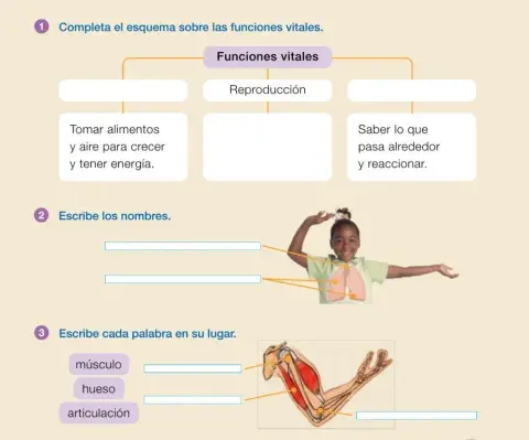 El cuerpo humano